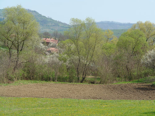 Foto crang in Racas (c) Petru Goja